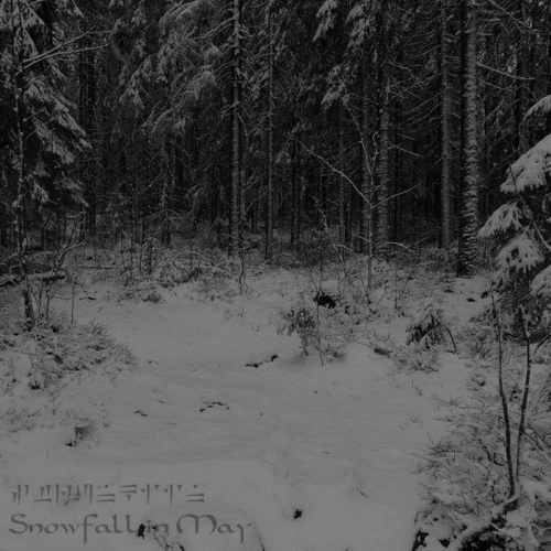 Strunkiin : Snowfall in May